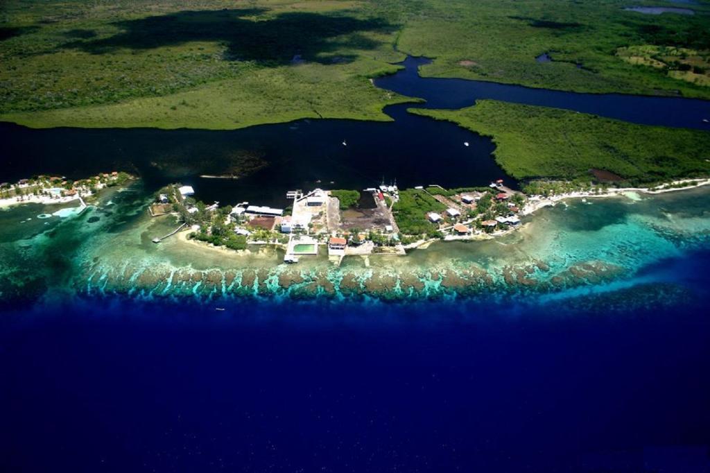 Coral View Beach Resort Utila Buitenkant foto